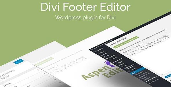 divi_space_plugin_footereditor_plugin_download